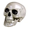 Dödskalle, Maxilla 17x17x24 cm