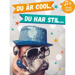 Dubbla kort med ljudeffekt, Du är COOL