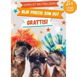 Dubbla kort med ljudeffekt, Du är COOL