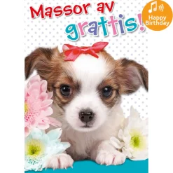 Dubbla kort med ljudeffekt, Härlig födelsedag