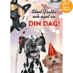 Dubbla kort med ljudeffekt, Kalas