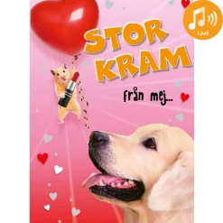 Dubbla kort med ljudeffekt, Stor kram
