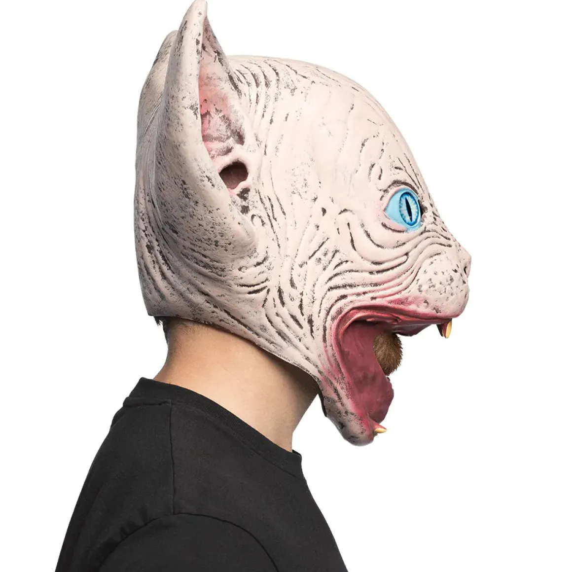 Latexmask, horror cat