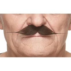 Mustasch, gentleman brun