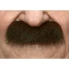 Mustasch, professor brun