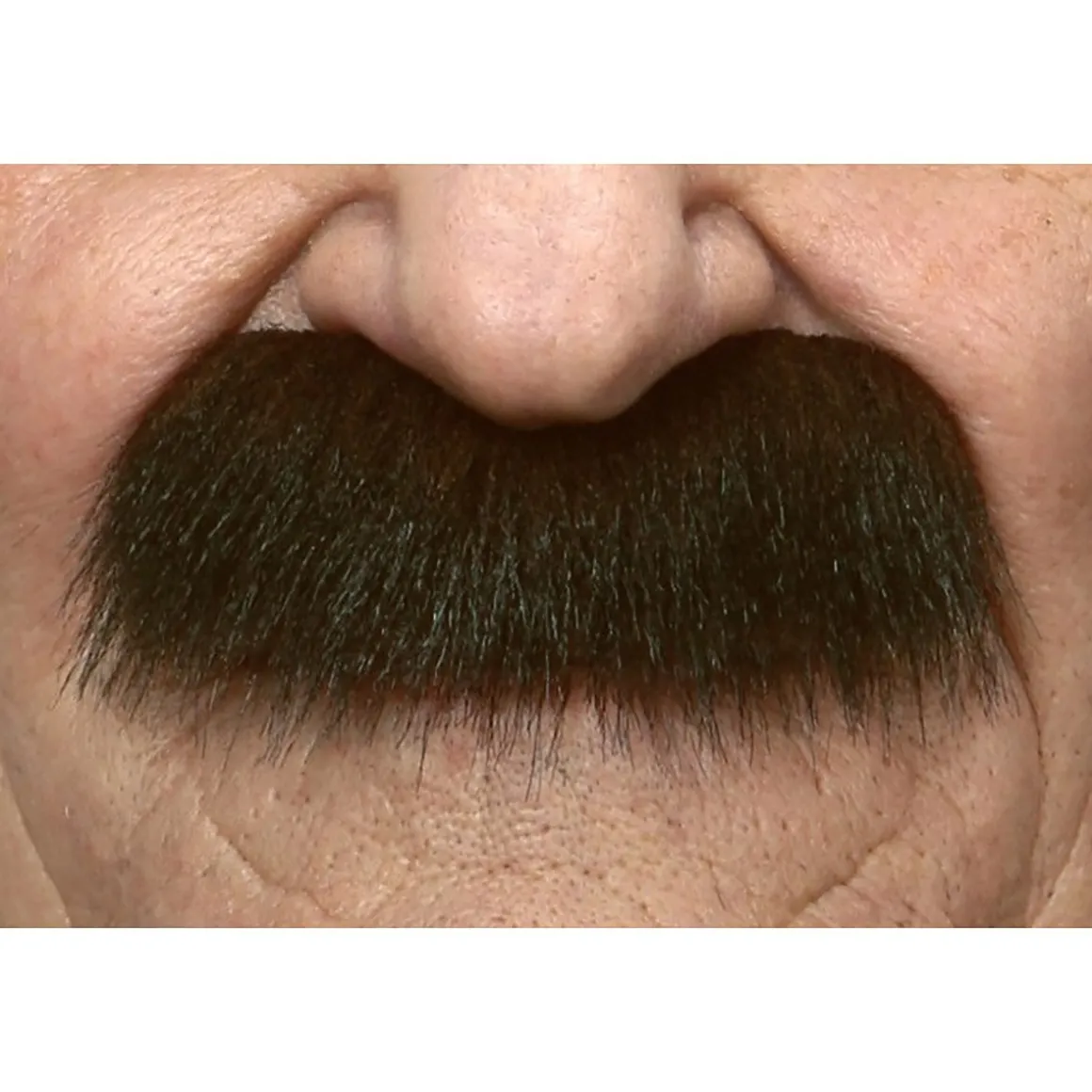 Mustasch, professor brun