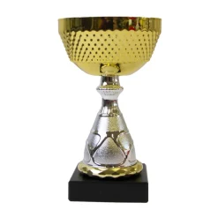 Pokal