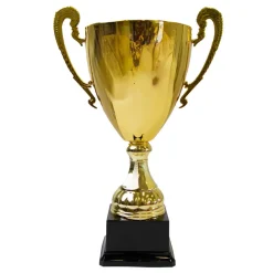 Pokal