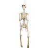 Prop, hängande skelett 92 cm