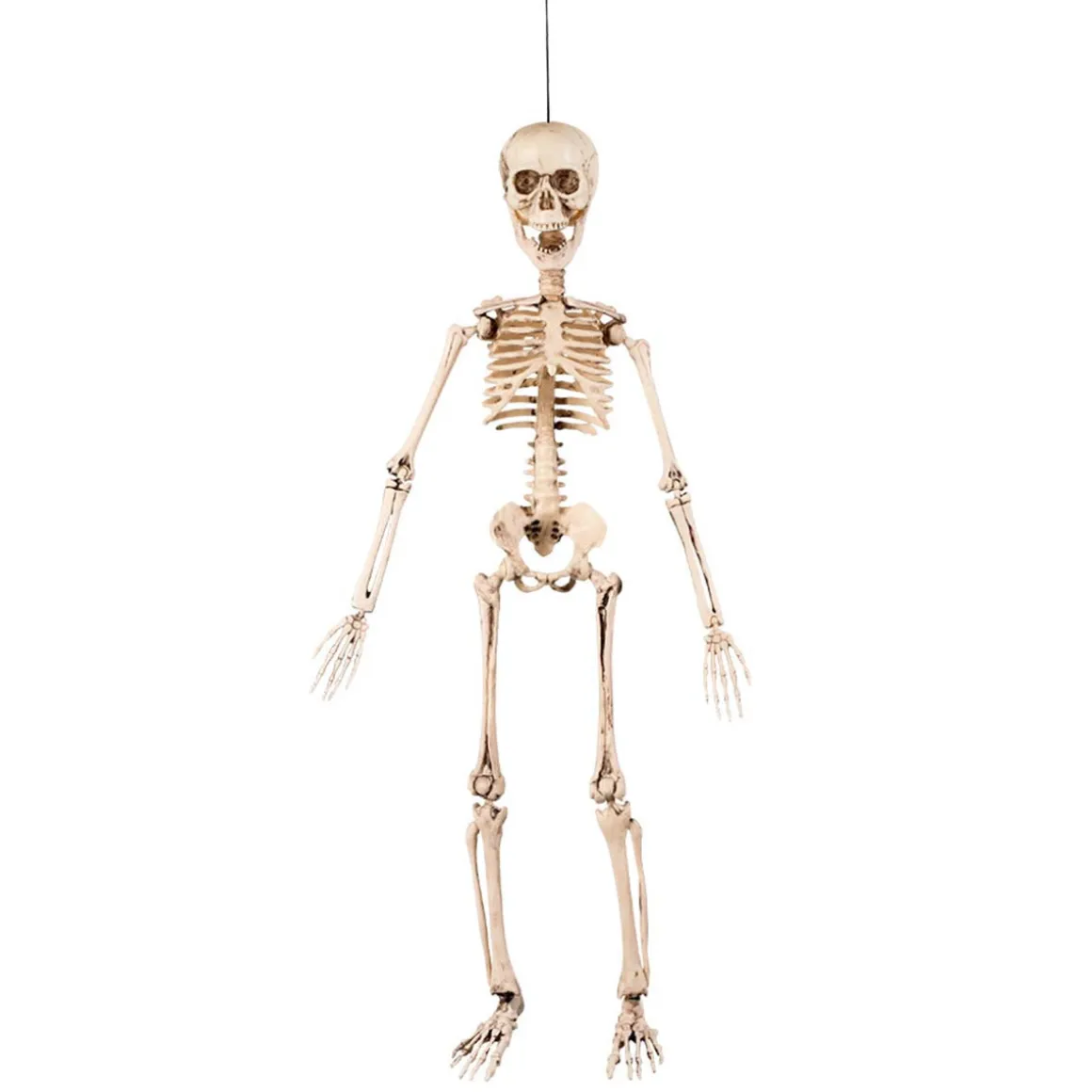 Prop, hängande skelett 50 cm