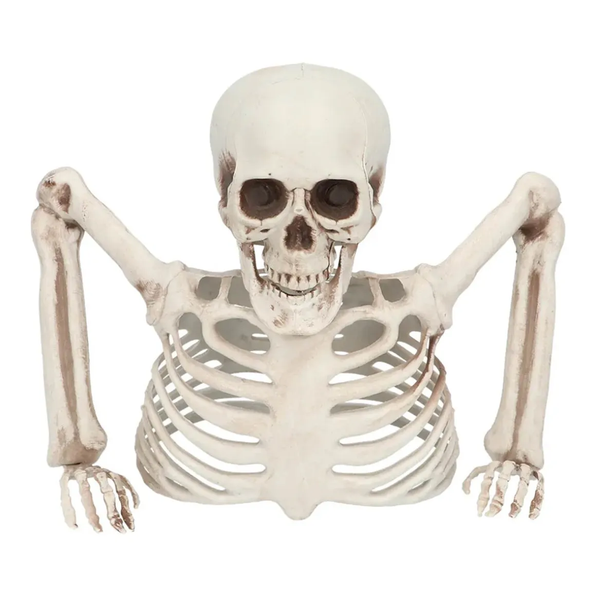 Prop, skeleton groundbreaker 20 cm