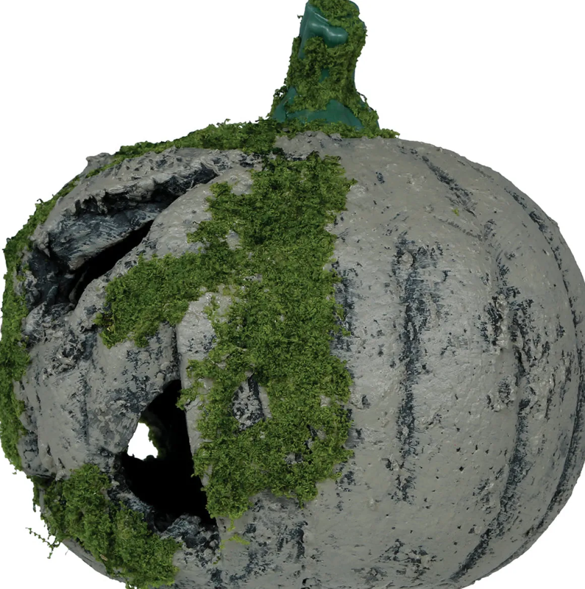 Pumpa med mossa, 20 cm