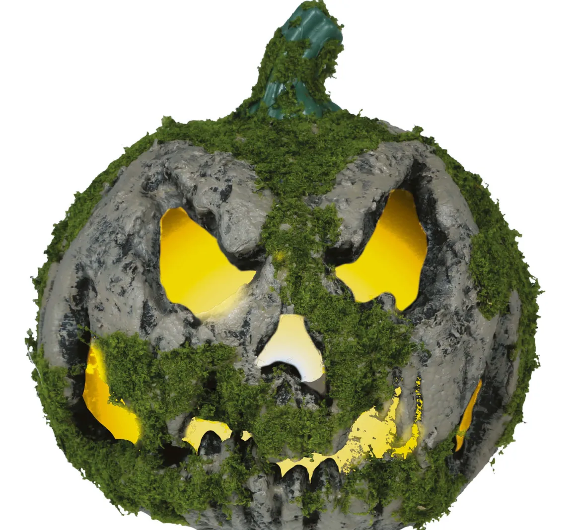 Pumpa med mossa, 20 cm
