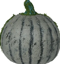 Pumpa med mossa, 20 cm