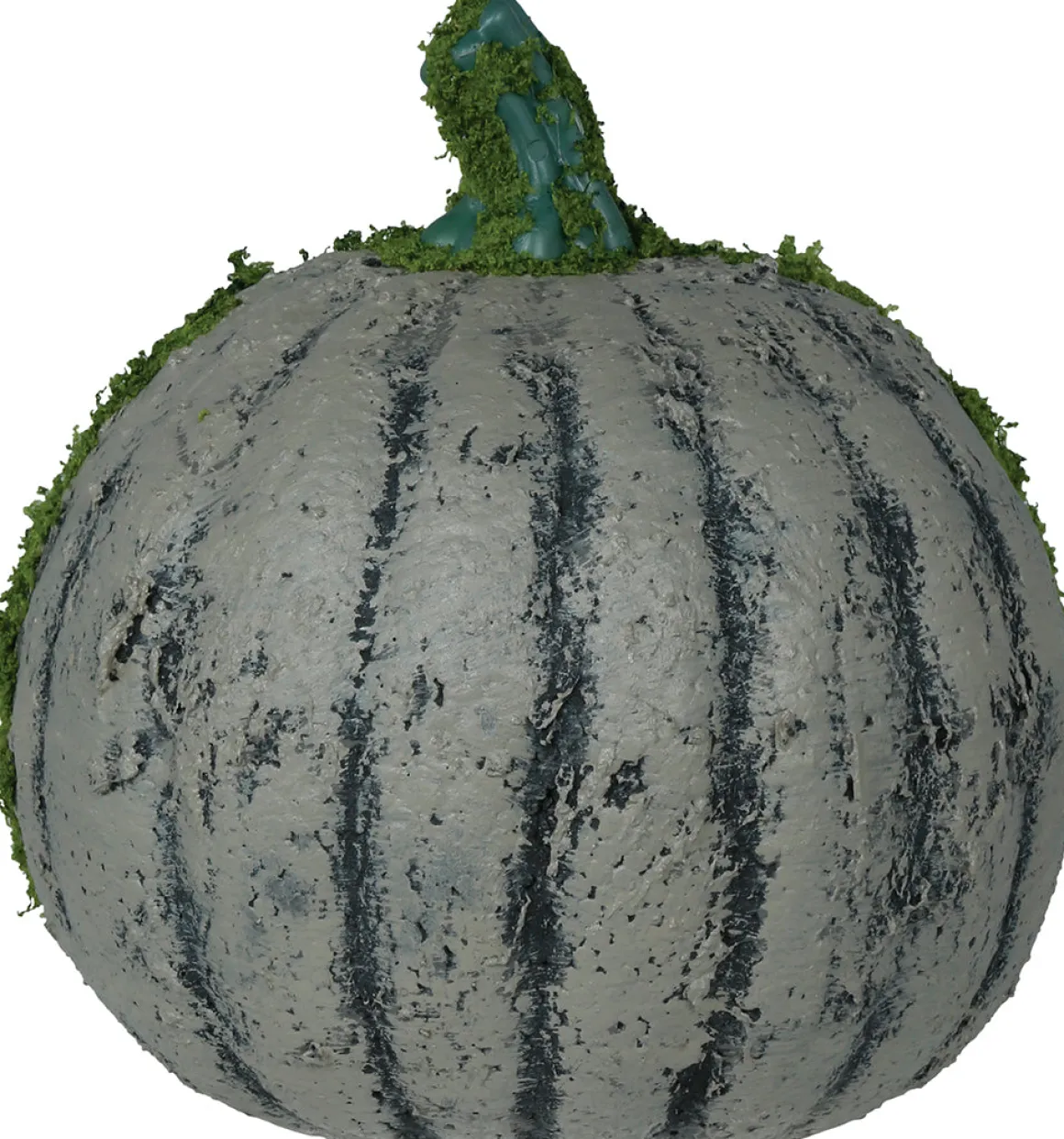 Pumpa med mossa, 20 cm